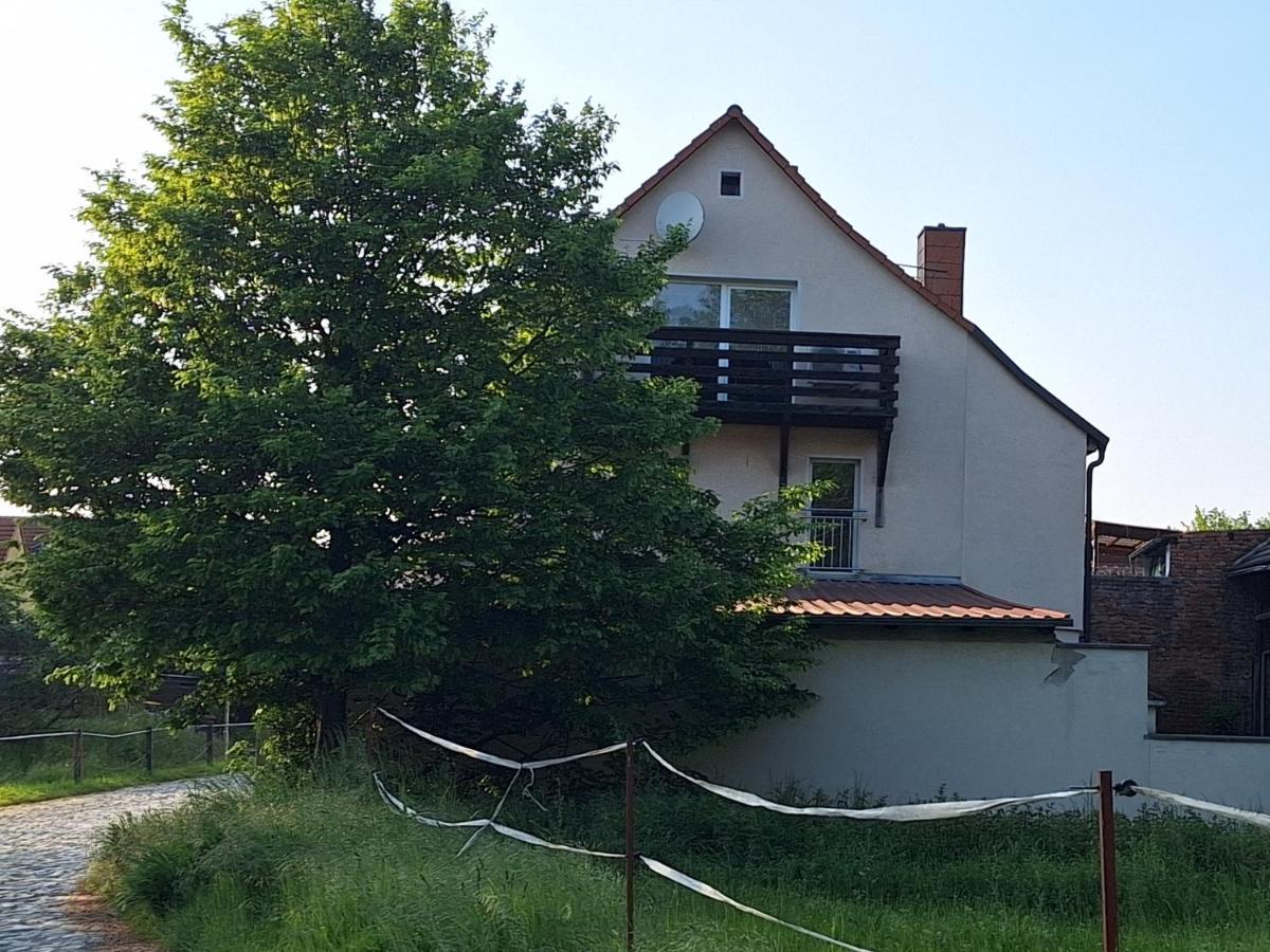 Ferienhaus Herztor Bad Bibra Eksteriør bilde
